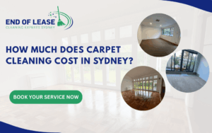 How Much Does Carpet Cleaning Cost in Sydney A Complete Guide