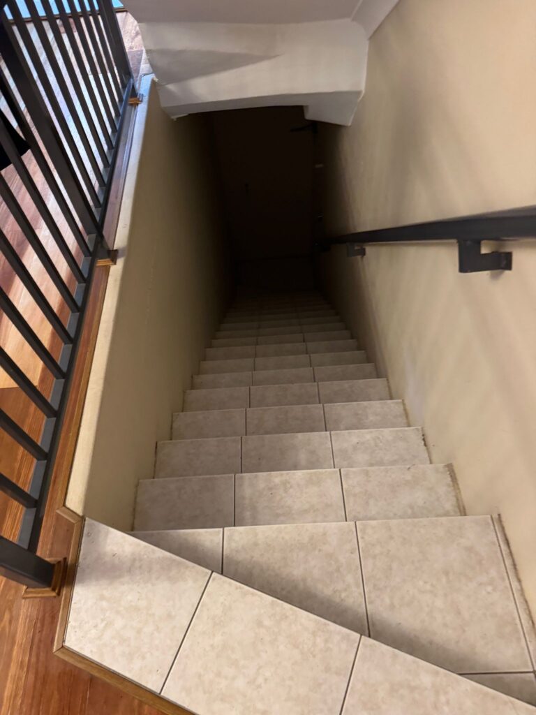 tiles cleaner